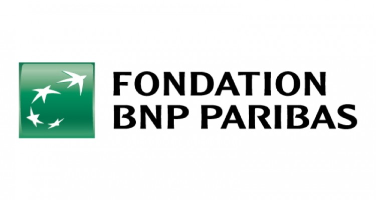 fondation-bnp-paribas-pubdigitale